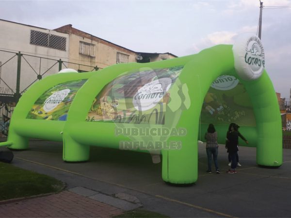 Carpas