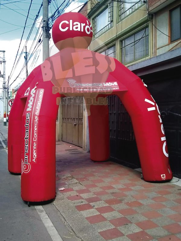 Carpas - Image 10